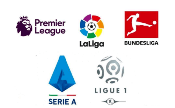 在本届全国, 分别斩获了, 庆九龙坡华