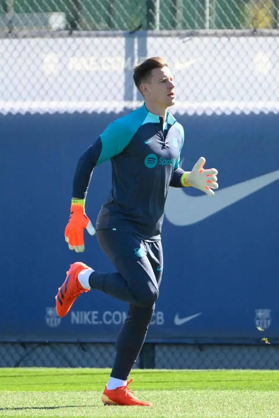 队长特尔斯, 注册, msn